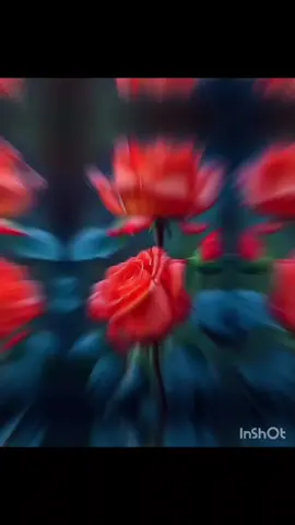 #anılar 