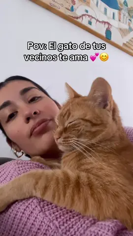 #elgatodelvecino #gatito #veci #tiktok #parati 