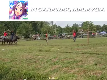 Malaysia have their own Umamusume//Taktau lah nak post apa ni pun jadi lah  (this video is caribou race that take place in Limbang Sarawak during pesta bedudun)| #umamusumeprettyderby #targetaudience #fypmalaysia #moots? #malaysia  @𝐂𝐇𝐀𝐅𝐄𝐄® @𝘿𝙖_𝙏𝙪𝙧𝙠𝙚𝙔𝙯 @𝙎𝙪𝟑𝟓𝙈𝙆𝙈 @𝙂𝙍 𝘼𝙔𝙍𝙄𝙎™💫 @MalayanFllry69🇲🇾☪️ @𝗠𝗜𝗗𝗦 @𝘼𝙫𝙞𝙖𝙩𝙞𝙤𝙣𝙉𝙞𝙘𝙚™ 