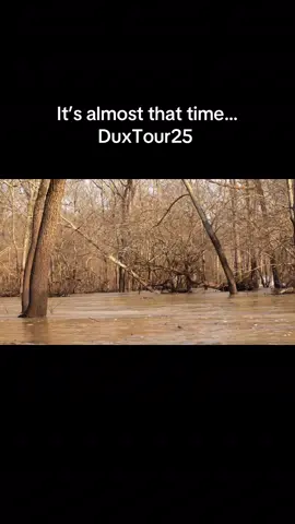 DuxTour25  #mallards #fyp #arkansas #greentimber #rollinthundergamecalls #ezdekes #mossyoak 