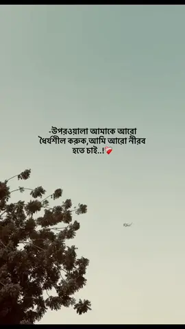 May the Lord make me more patient, I want to be more silent..!❤️‍🩹 .. .. .. #Sharjah_top_2#dubaivideo#foryou#yyyyyyyyyyyyyyyy#vairalvideo