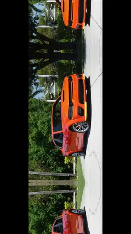 King Daytona 🍊