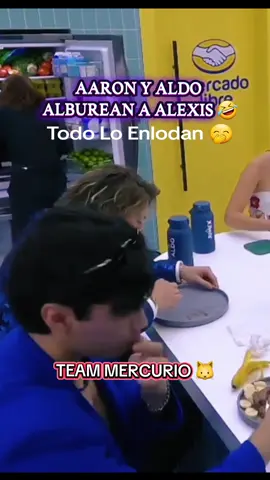 UNETE AL TEAM MERCURIO 🐱 SIGUENOS 👑 #aaronmercury #aldodenigris #alexisayala #lacasadelosfamososmx #queensmeow👑 