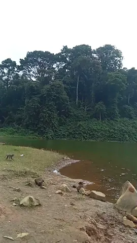 Nging hilap baraya di mana wae ayana nging hilap mampir ka wisata situ Sangiang 