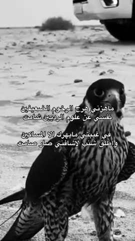 #سعود_العاطفي #قصايد_شعر #fyp 