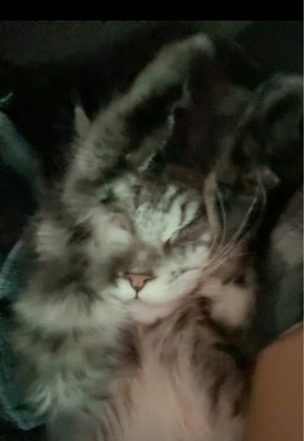 My son 😭