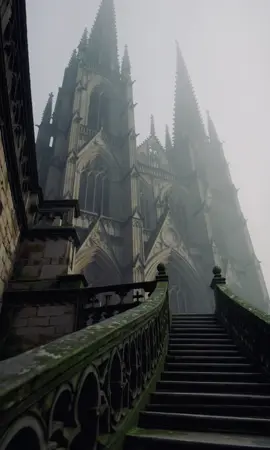 🌫️  #goldenbrown #medievaltiktok #fyp #viral #kölnerdom #cathedral 