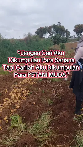 gas teross jangan kasih kendor  petani-petani muda #petani #petanimuda #petaniindonesia🇮🇩🇮🇩🇮🇩🌿🌿 #gunungkerinci #kerinci #fyp #yudiku2210 