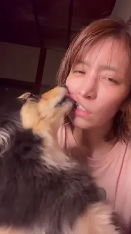 Dog licking girls lips #dog #dogkisses #doglove #doglicking 
