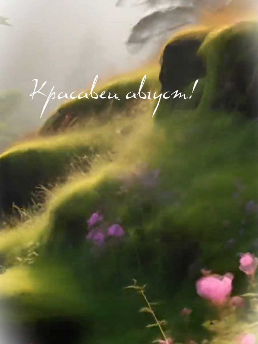 #нухорошоже!