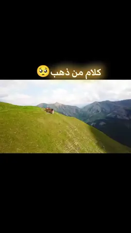 #115#سبحان_الله_وبحمده_سبحان_الله_العظيم #اكسبلور #رارا_احمد #fyp 