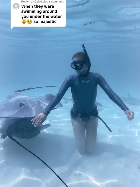 711 Replying to n0 dad club Theres nothing quite like dancing with these underwater roombas on one breath ☺️‍♀️ #stingray #underwater #dance