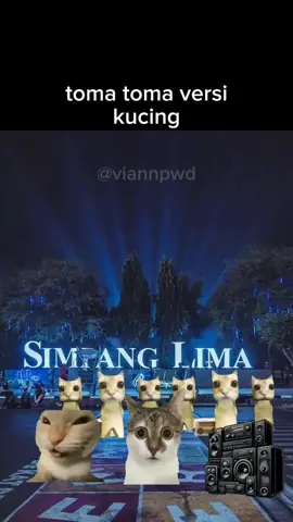 toma toma meme kucing #soundcloud #vinahouse #satanremix #remix #nhacdj #phonkvinahouse #phonkxvinahouse