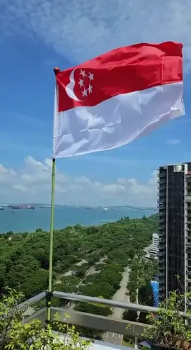 The flag of Singapore forever fly 🇸🇬 #singapore #CapCut #tiktok #flag #forever 