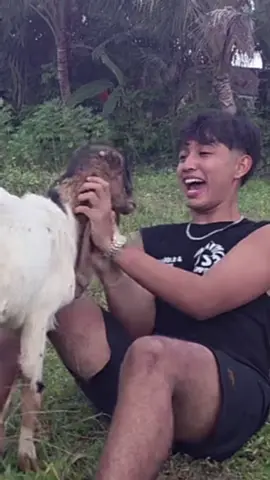 kambing aja tau cwo gantengg😭 @amutaa🧜‍♂️  #masputra #srotoptv #gwsmlovers #amuta #gwsm #fyppp 