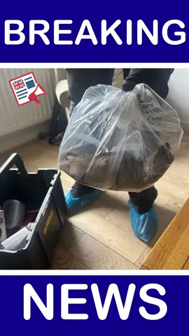 A giant rat the size of a dog has been captured inside a UK home, sparking panic that the UK's vermin crisis may be spiralling!  #UKNews #BreakingNews #News #Rats #GiantRat #Vermin 
