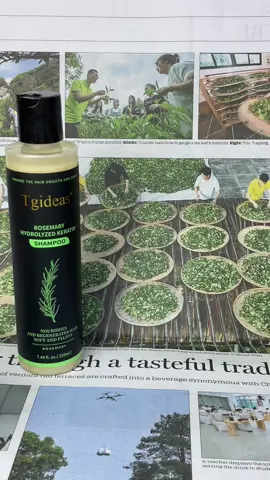 Do you have very little hair and often fall out after combing it? Let me tell you my solution.
 #tiktokshopblackfriday #tipsparaelcabello #cuidadodelcabello #TgideasCaviarAminoAcidsShampooVolumizes #Tgideas #CaviarAminoAcidsShampoo #HealthyScalp #Preventhairloss #hairloss #hair #ismabeauty #recomendaciones  