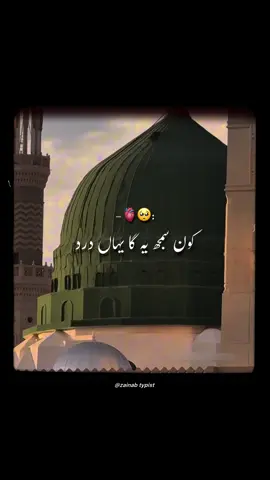 Kon samjhe 🥹 #viralvidoes #allahhuakbar #foryoupage #allahuakbar #allah #rasoolallah #foryou #viral #zainab 
