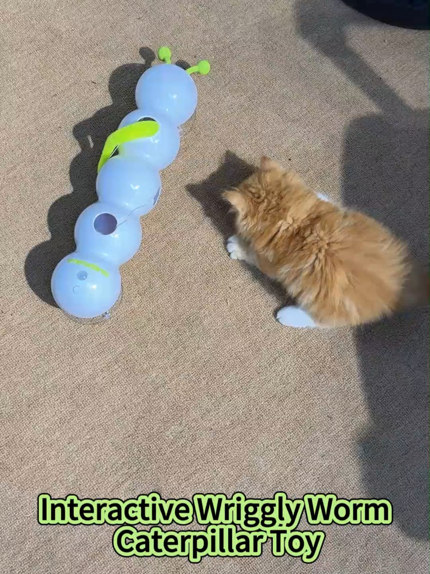 Interactive Wriggly Worm Caterpillar Toy. #interactive #catlover #ilovemycat #scottishfold #britishshorthair #catmum #catsoftictok #fyp #tiktok #funnytoys #toys #cattoys