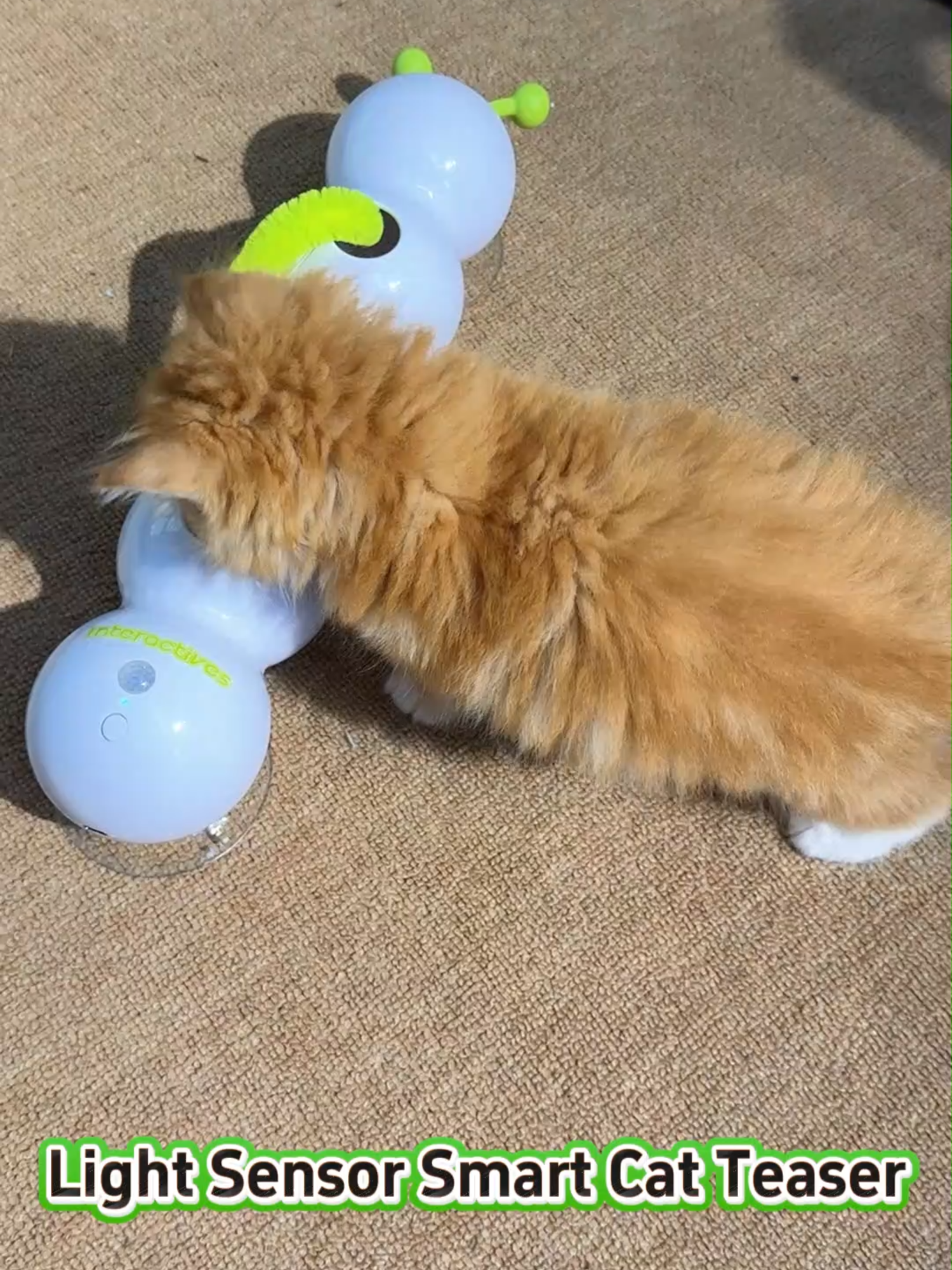 Smart sensor caterpillar #pet #petlover #catvideos #catlovers #cats #cutecat #catvideo #catlovers #funny #catlover #cattoy #fyp #tiktok #funnytoys #toys #cattoys