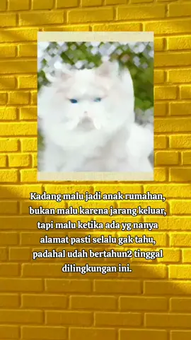 #quoteslucu #quotesislami 