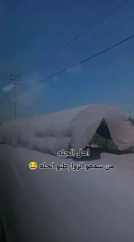 انتم هم هيج يموتون علئ الخدمه ولايتي 😇🙆🏻‍♀️