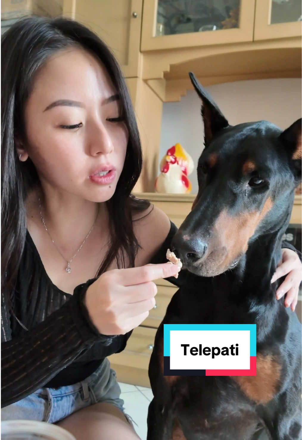 Lupa dulu cara ajarin dia gimana sampe bisa ngerti bahasa manusia. Kayanya beneran ga diajarin deh, kaya ak ngomong heart to heart aja dia kaya yang paham. Anabul lain kaya gt apa cuma Koko sih?