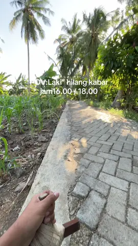 Narafisi wettunna#fyp #layanganputus #layanganbugis #jalagundibugis #pitupitubugis #foryoupage 