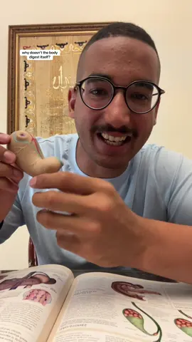 say hi to sayed