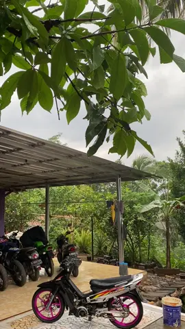 hujan berkah🥰#chameleon #fizrgantengstyle #fyp 