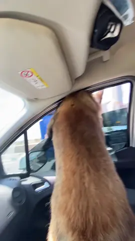 Ruh Hastası