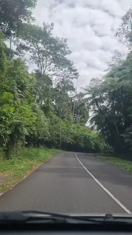 Lika liku jalan ini, sekali dua kelihatan Gunung Tandikek memandang dalam diam..