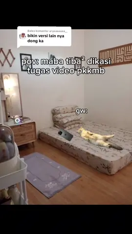 Membalas @aryaaaaaaa__  inspirasi template video PKKMB versi lain yaa #memecat #kucinglucu #pkkmb #fyp #viral #xyz #memekucing 