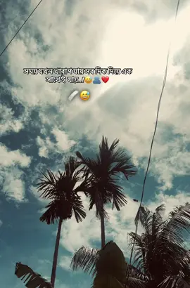 #foryou🖤🌸🖤🖤🖤🖤🖤🖤🖤🌸 #everyone #viralvideo #hilight🌸🌸🌸🌸🖤 #tiktok #hilight 