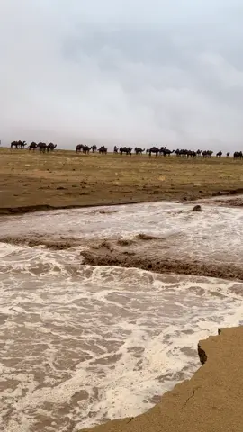 قريباً بإذن الله نشوف زي ذا المنظر 😍☔️#تصويري  شرق حلي الاني #اغسطس 