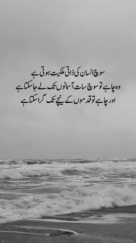 insan ki soch #insan #soch #foryou #foryoupage #kainatqueen👸 