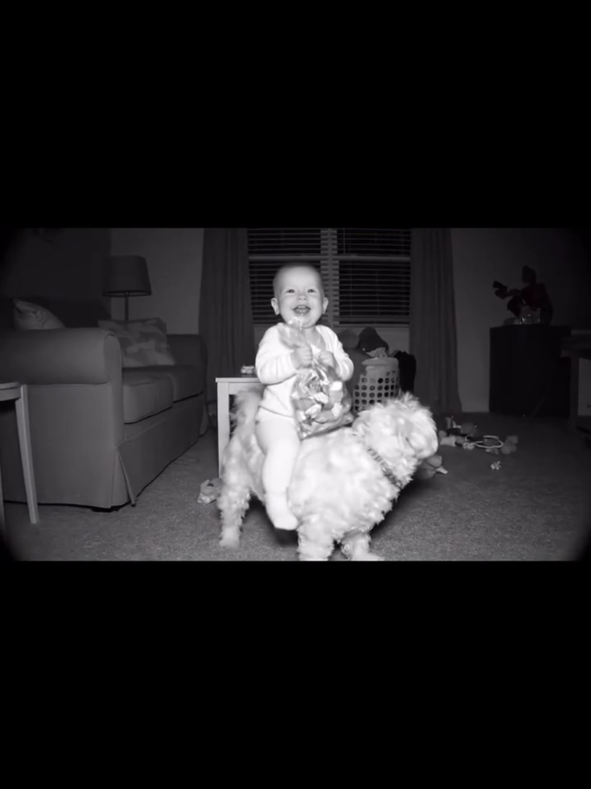 #baby #dog #pet #animal #animals #ride #fun #funny #hilarious #kid #tiktok #wtf #night #pals #house #parents 
