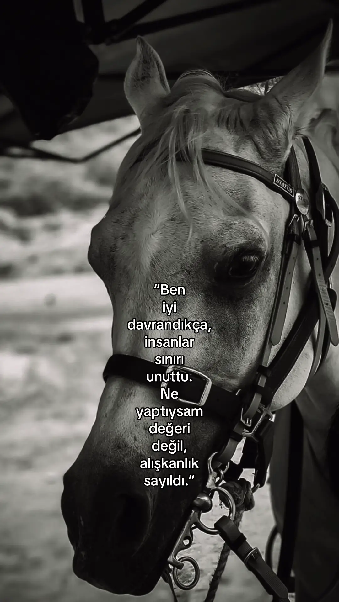 #beniöneçıkart #onecikarttiktok 