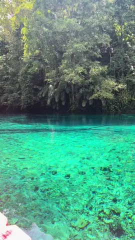 #fypage #labuancermin #bidukbiduk #berau #kaltim #wisata 