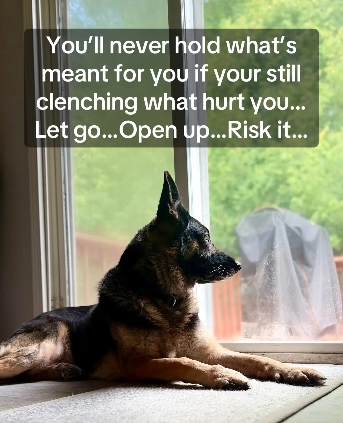 #openhands #openhearts #fyp #HealingJourney #mondaythoughts #doitscared 