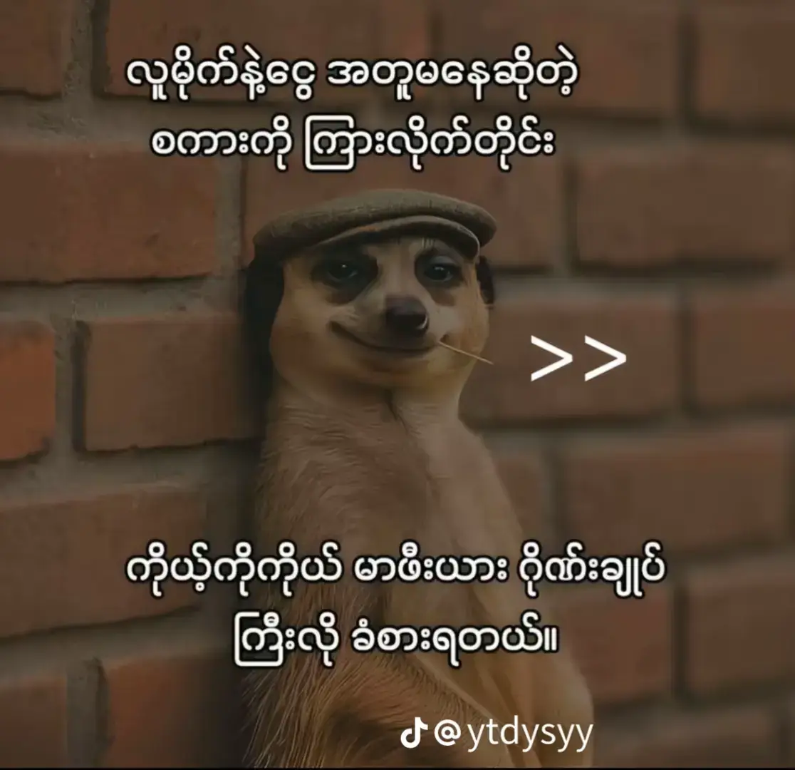 #ဘာညာပေါ့ကွာ♡🤣 #fypシ゚ #tiktokviral #foryoupage #fyp #money #tiktokviral #foryourpage #fypシ゚ #fyppppppppppppppppppppppp 
