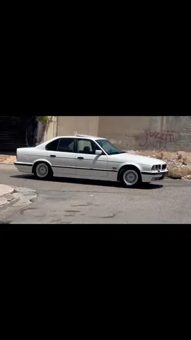 شێرە سپی ماشاءالله ❤️🫶