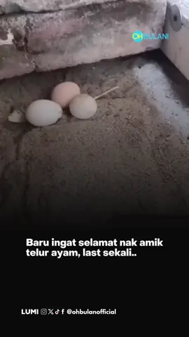 Part last tu 😭😭 #ohbulan #fyp #santai #ambil #telur #ayam #mak #ayam #memantau 