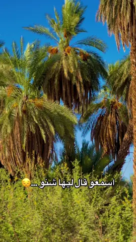 #مشاهير_تيك_توك #اكسبلور #الشمالية_نوري_كريمة_مروي_اوسلي_القرير 