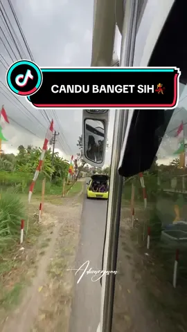 nada nadanya bikin candu banget sih💃hitam kulit abang dek,kalo biru kulit krisna wkwkckakak #barudakhajiandry @andry_winspector @Zeryslowly. @superkid @Rns Design @Andrewdomz @baby yellow sky @AZKduino Automation - VGM @SihitamManis #fyp #fypdonggggggg #videobus #teloletbasuri #qqtrans #qqtransandara 