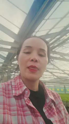 tiền dinh luon