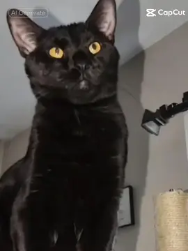 #fypシ゚ 