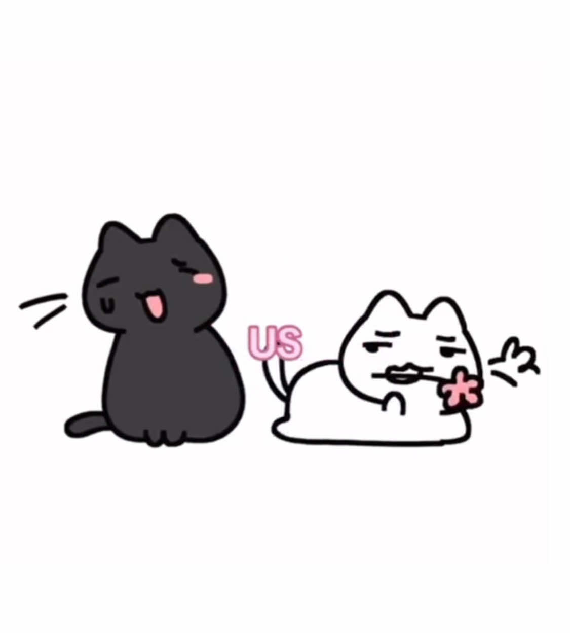 Us btw #cats #CATS #cutecats #cute #catsoftiktok #blackcat #whitecat #yoyocats #animation #animated #us #thisisus #pookie #ilovemypookie #iloveyou 