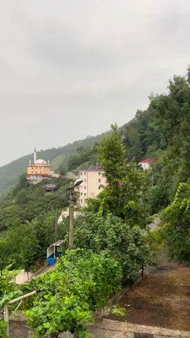 dışım çiçek açmış belki..                          #oybenivurun #öykügürman #keşfetteyizzz #story #trabzon #karadeniz 