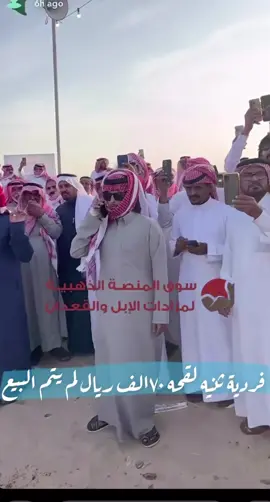 #سامر_الحربي🎖️ #سوق_المنصة_الذهبية_لمزادات_الابل_والقعدان #سنابي_بالبايو🤍 #الابل_السواحل #الصياهد_رماح #CapCut #WondersComeTrue #fyp #fypシ #foryou #niuniyy #اكسبلورexplore 